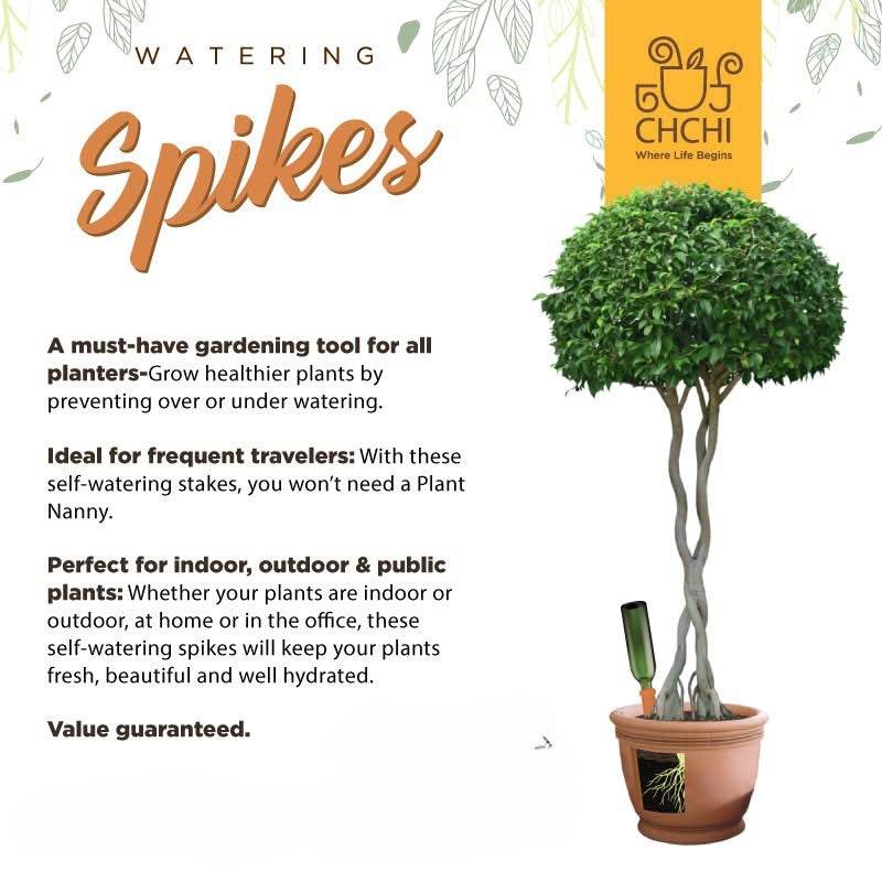 4 X Clay Terracotta Plant Self Watering Spikes ECO Friendly - Parts bitz
