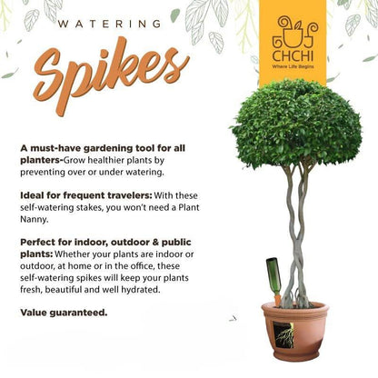 4 X Clay Terracotta Plant Self Watering Spikes ECO Friendly - Parts bitz